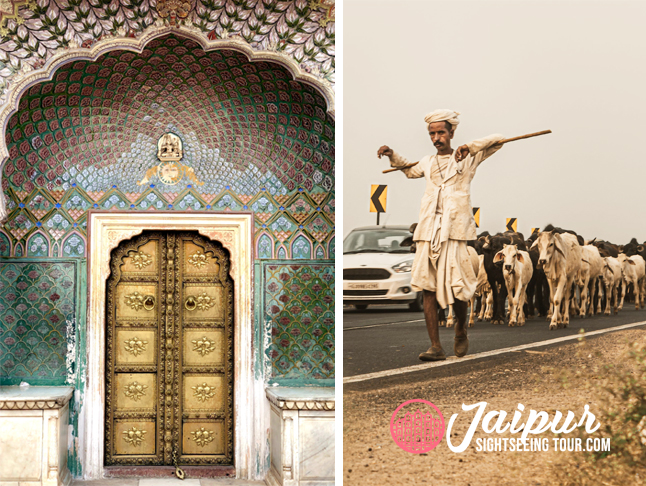pushpa tours
